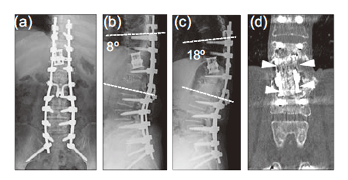 Fig. 4