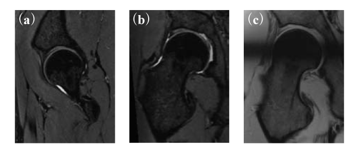 Fig. 5