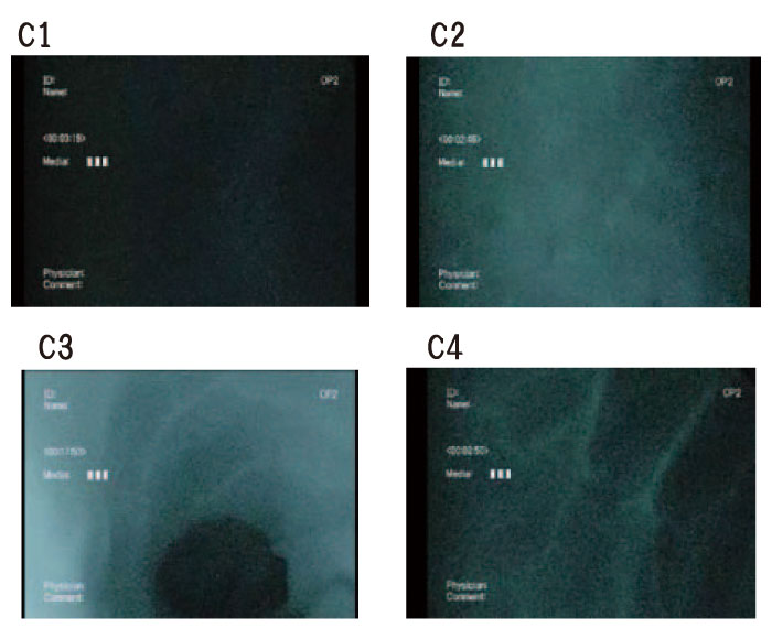 Fig. 4