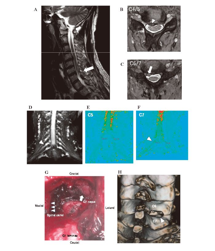 Fig. 8