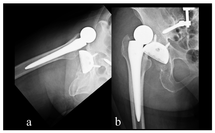 Fig. 5