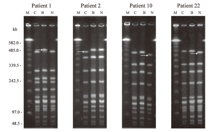 Fig.2