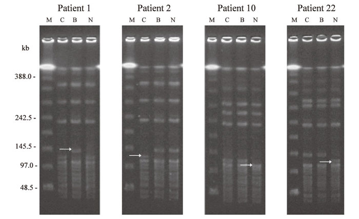 Fig.3