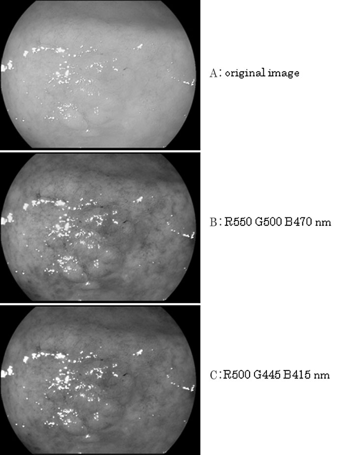 Fig. 2