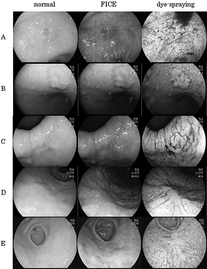 Fig.3