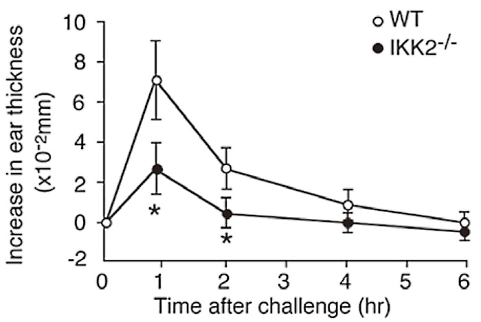 Fig.2