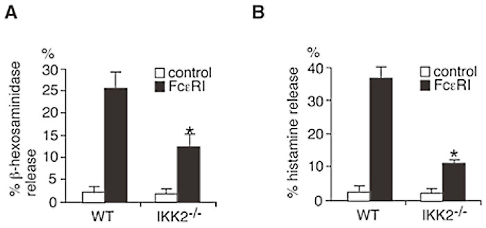 Fig.4