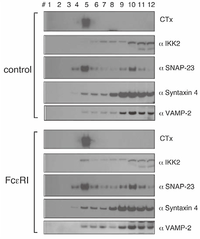 Fig.7