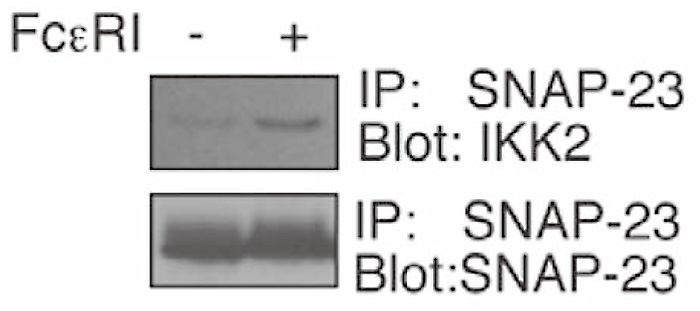 Fig.8