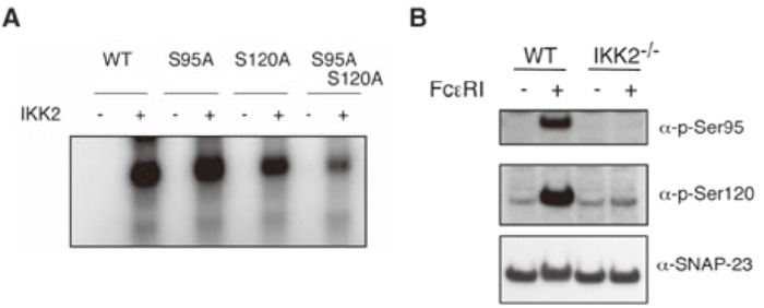 Fig.9