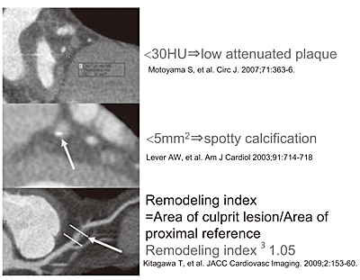 Fig.4