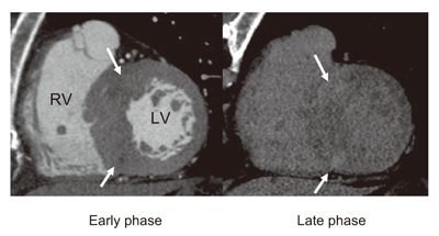 Fig.6