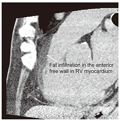 Fig.6