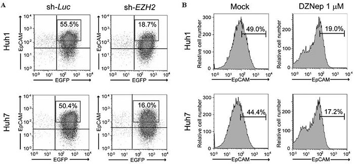 Fig.2