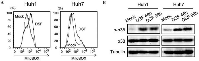 Fig.5