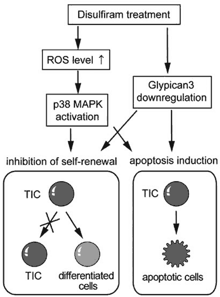 Fig.6