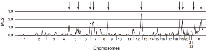 Fig.1