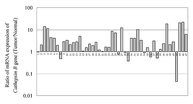 Fig.1