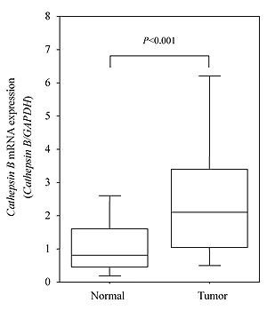 Fig.2