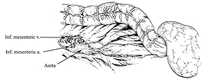 Fig.1