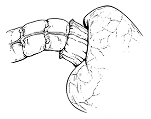 Fig.3