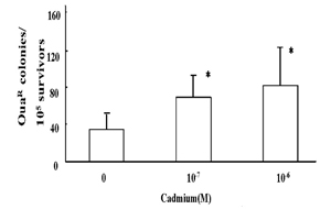 Fig.2