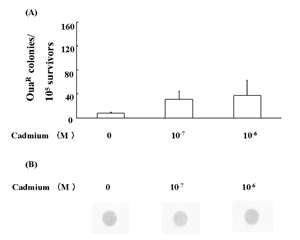 Fig.4