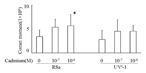 Fig.5