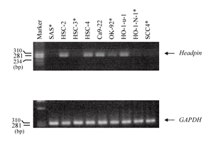 Fig.1