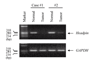 Fig.2