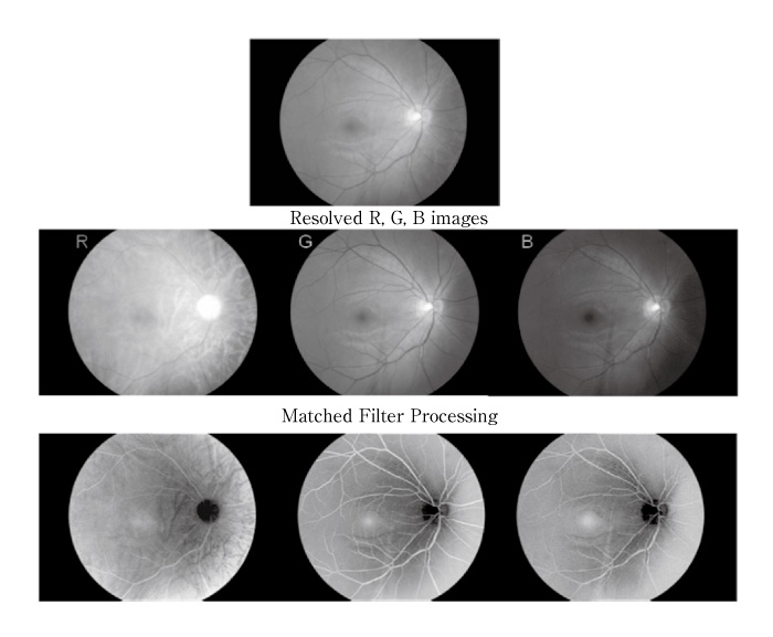 Fig.1