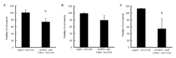 Fig.1