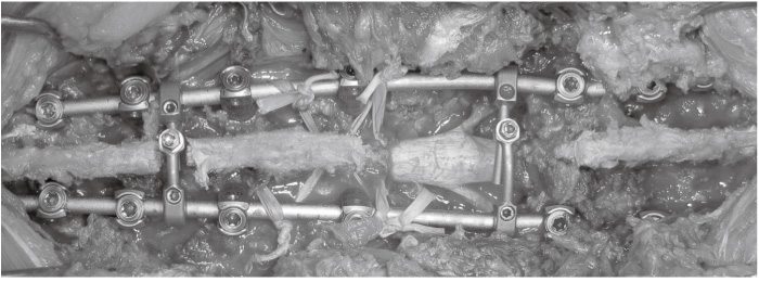 Fig.4