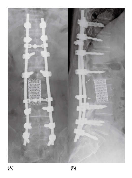 Fig.5