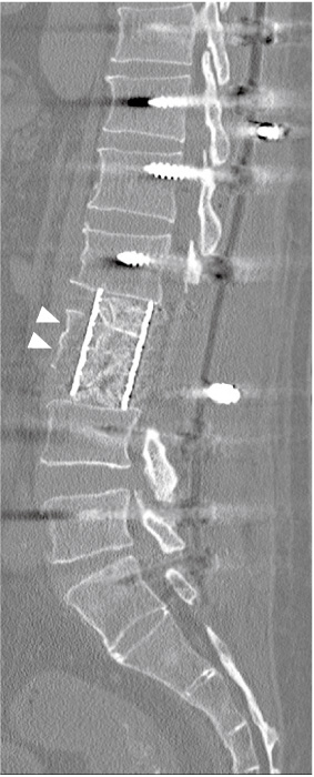Fig.6