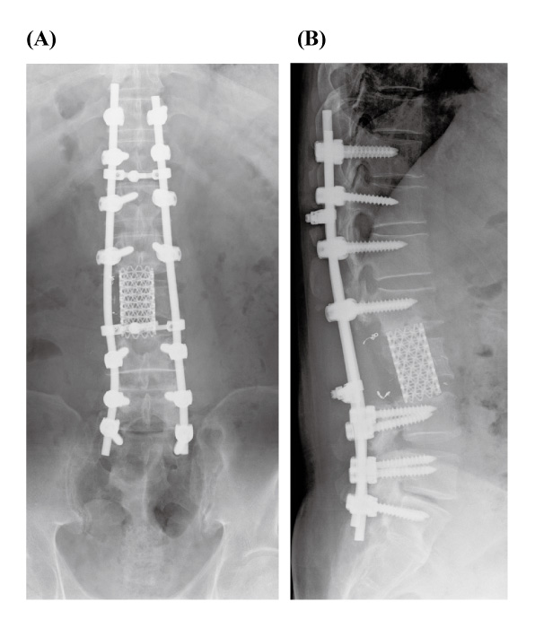 Fig.7